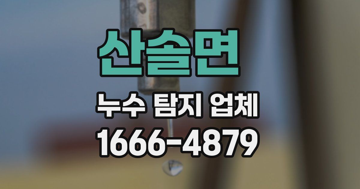 산솔면 누수 탐지 업체