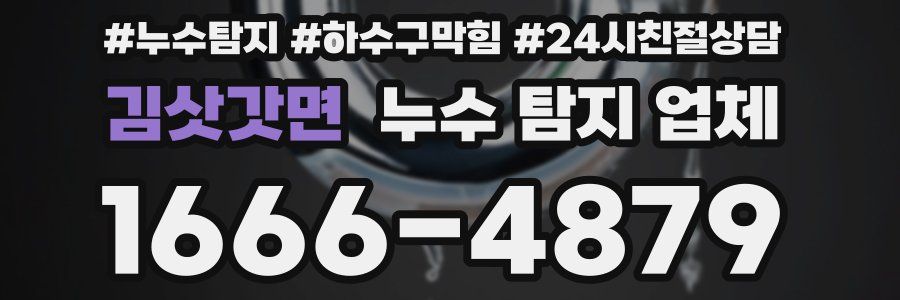 김삿갓면 누수 탐지 업체
