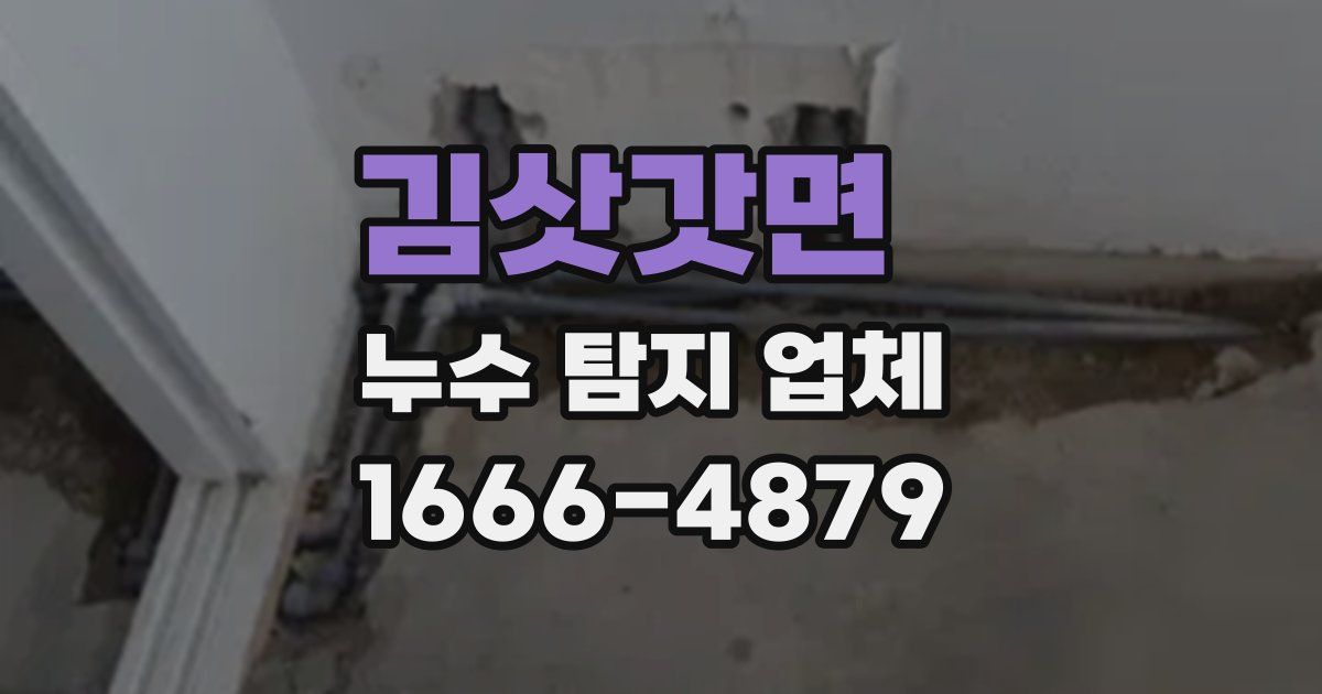 김삿갓면 누수 탐지 업체