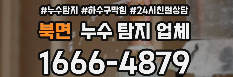 북면 누수 탐지 업체