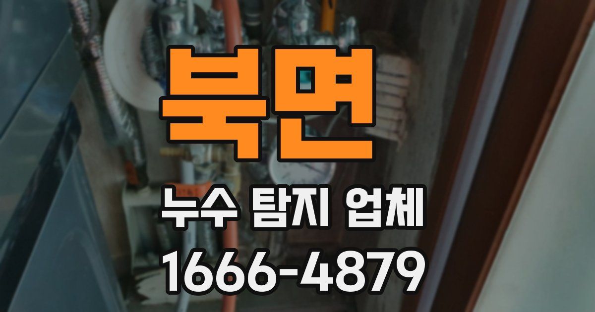 북면 누수 탐지 업체