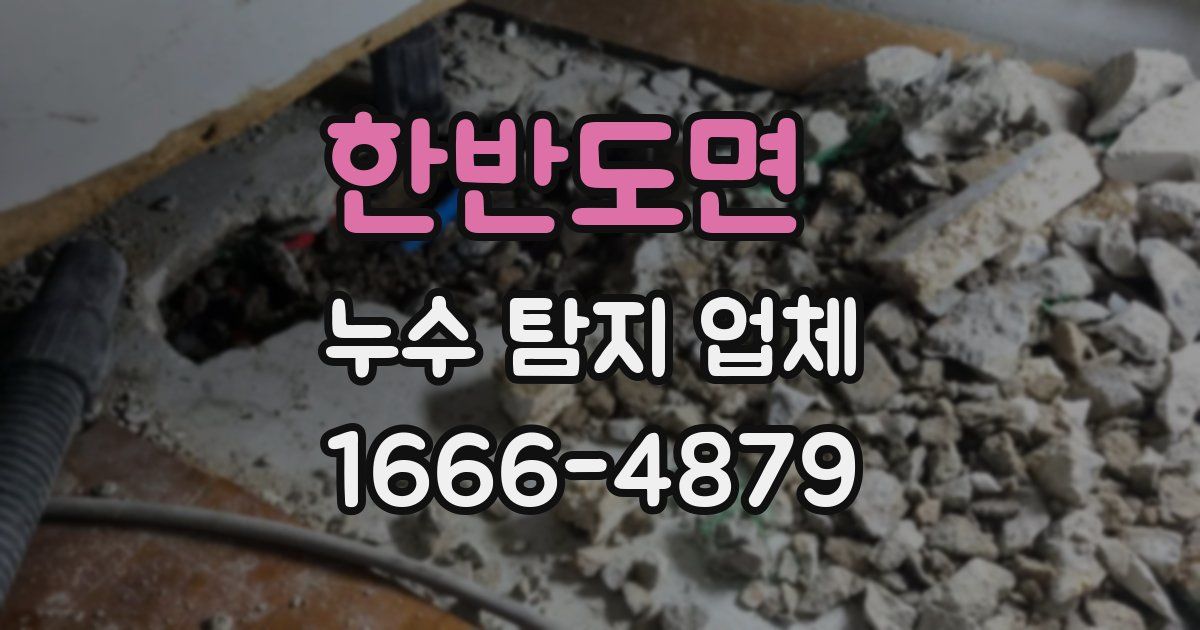 한반도면 누수 탐지 업체
