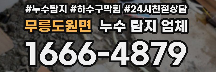 무릉도원면 누수 탐지 업체
