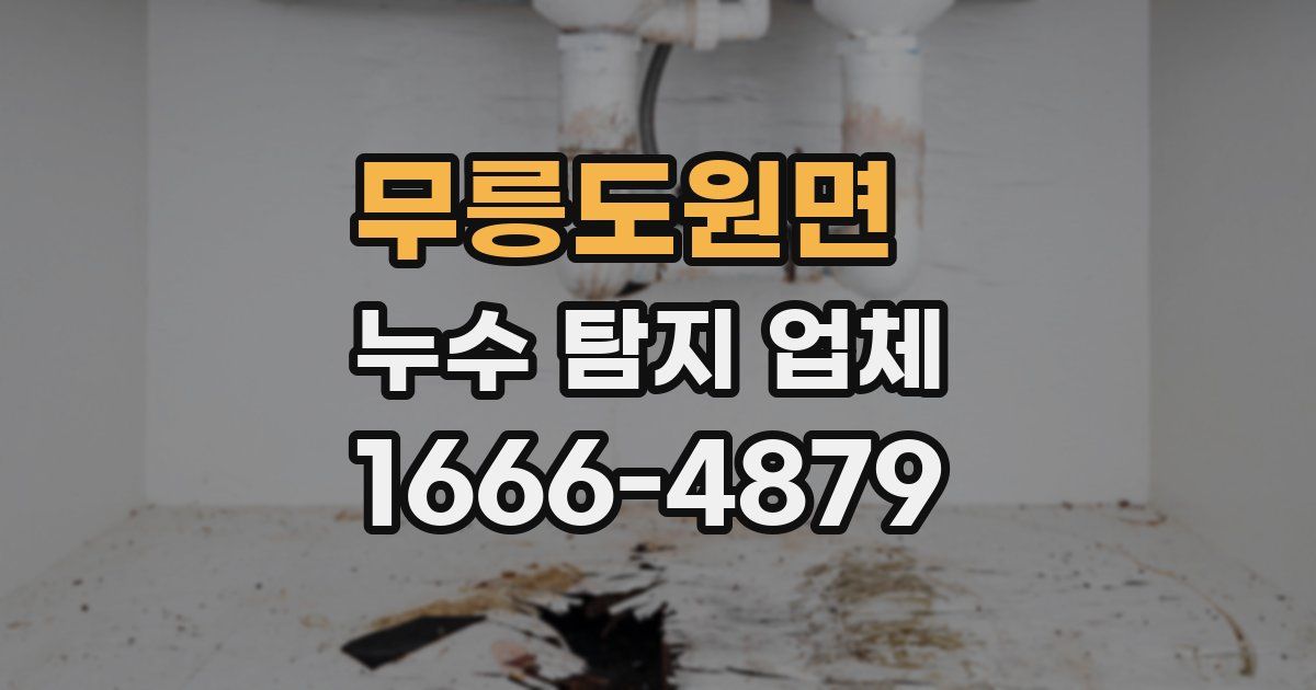 무릉도원면 누수 탐지 업체
