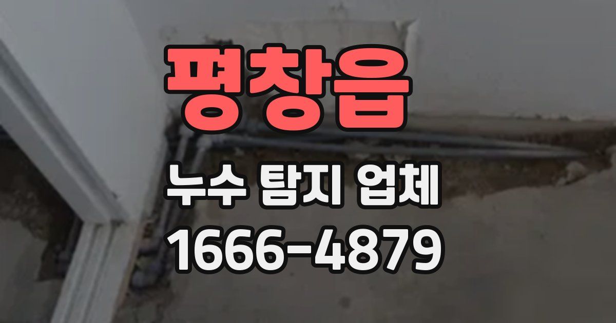 평창읍 누수 탐지 업체