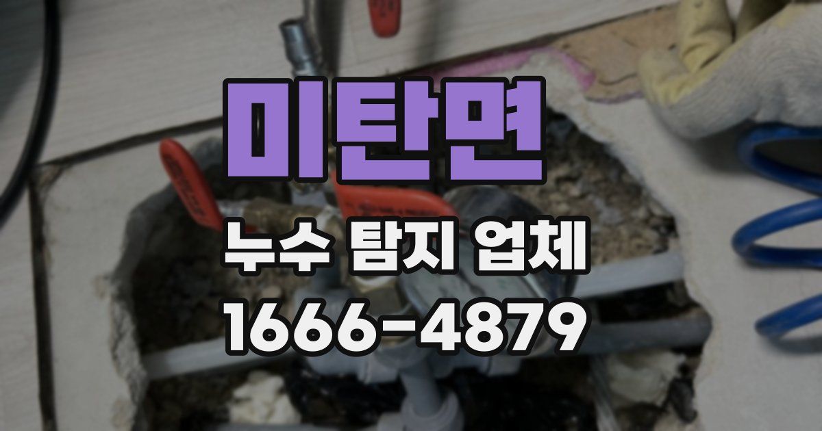 미탄면 누수 탐지 업체