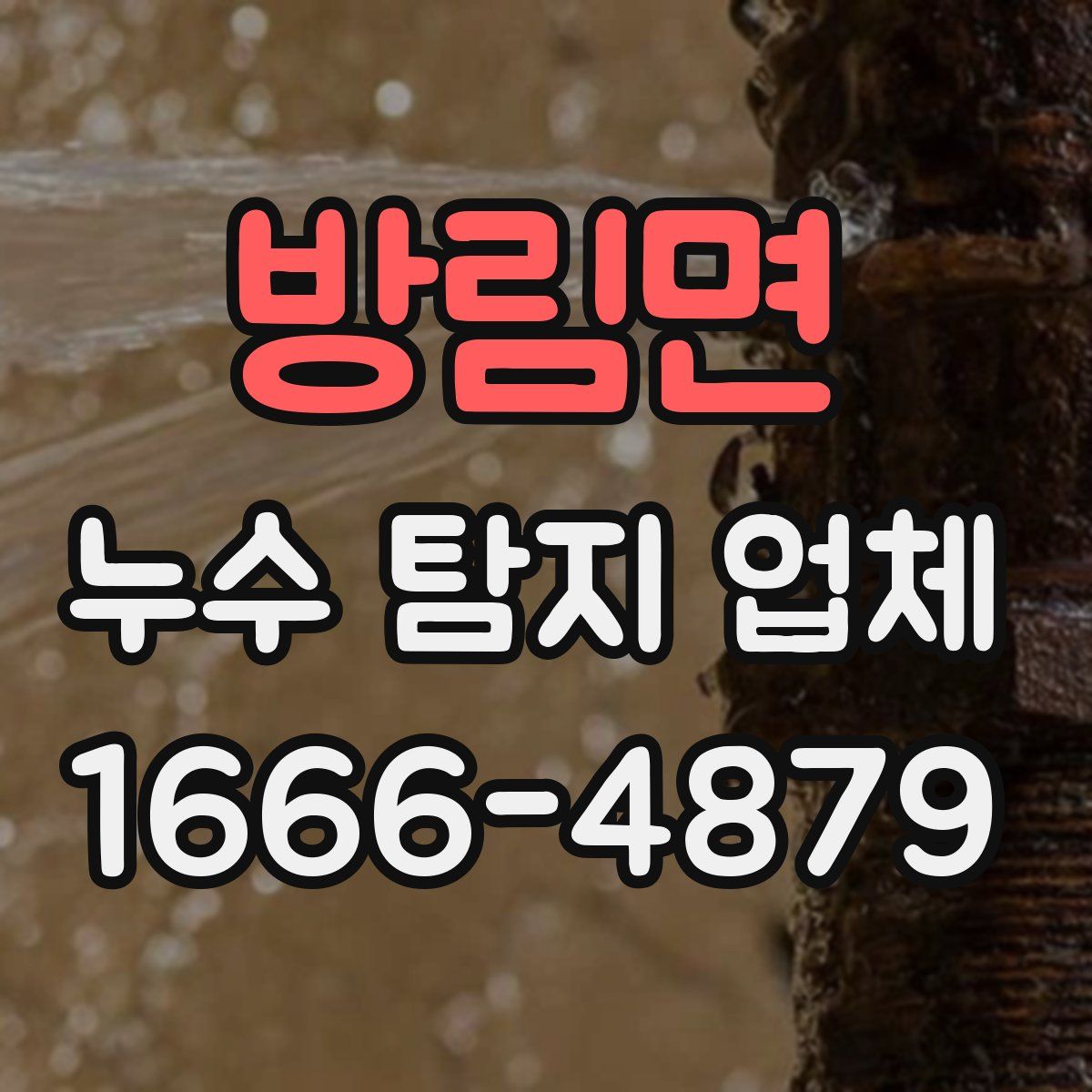방림면 누수 탐지 업체