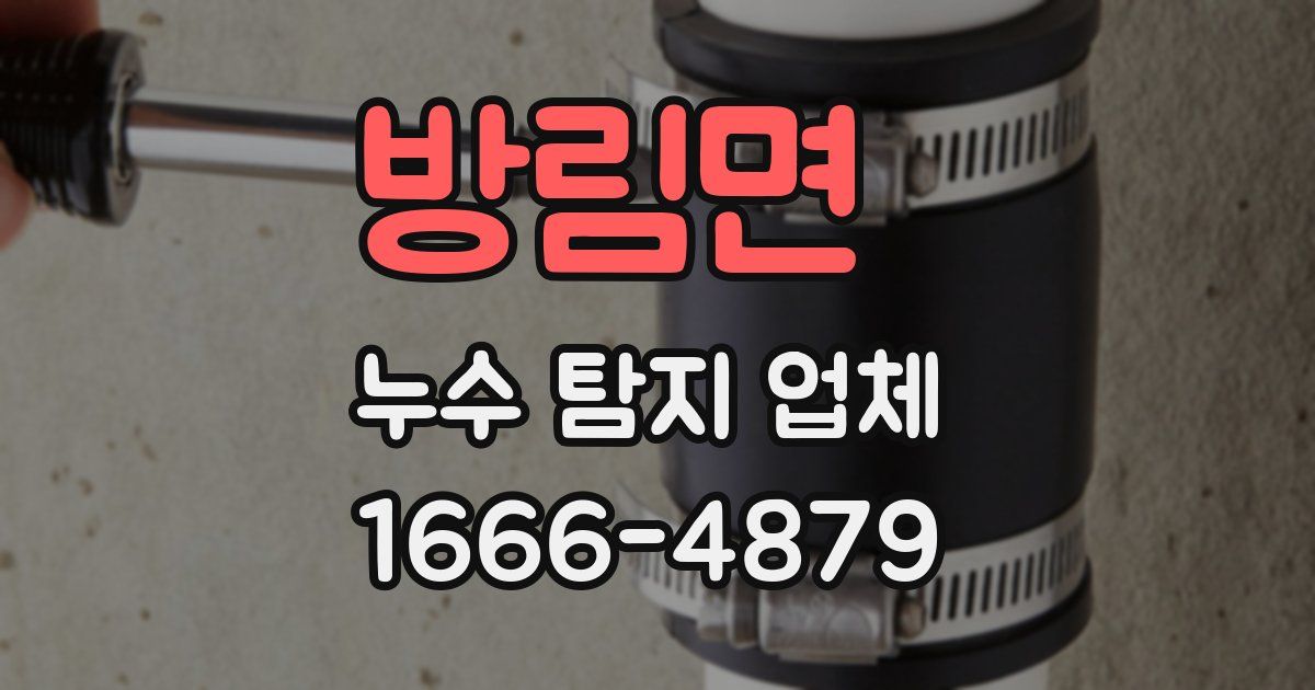 방림면 누수 탐지 업체