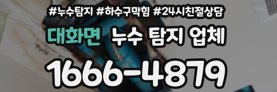 대화면 누수 탐지 업체