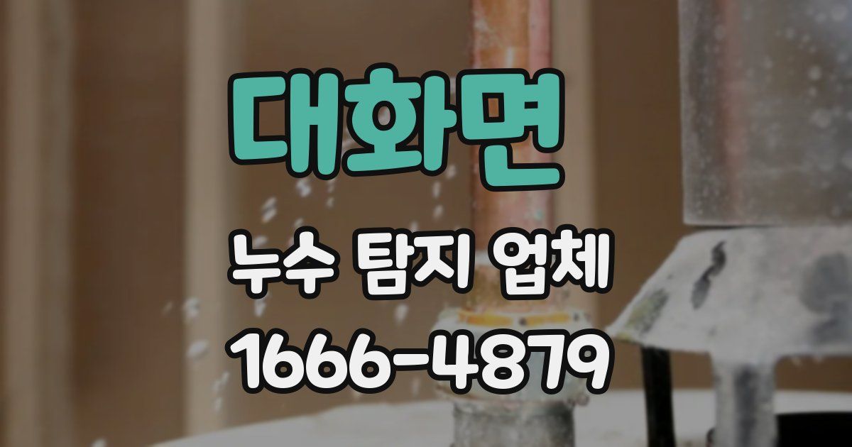 대화면 누수 탐지 업체