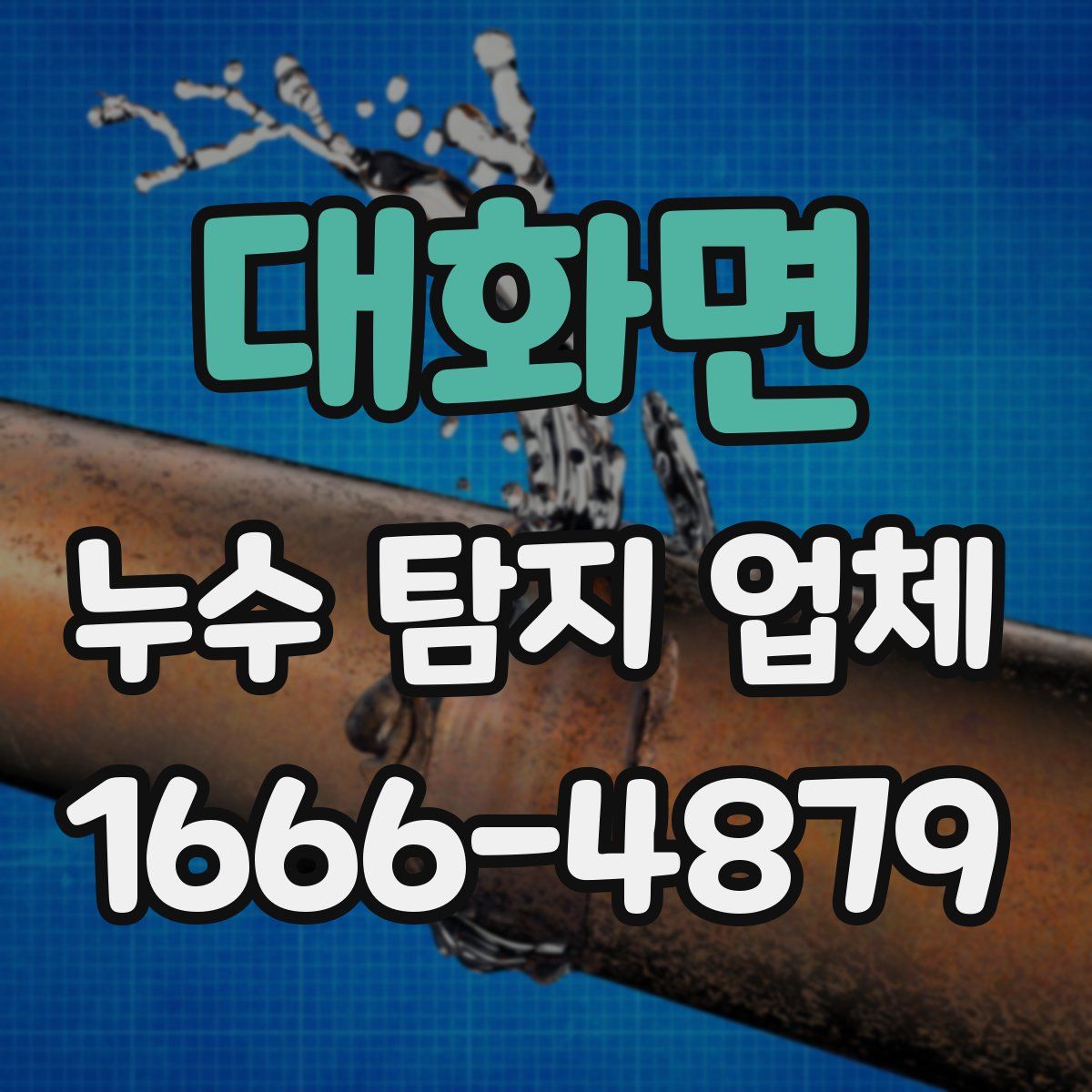 대화면 누수 탐지 업체