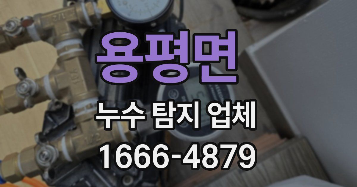 용평면 누수 탐지 업체