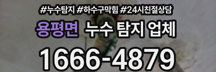 용평면 누수 탐지 업체