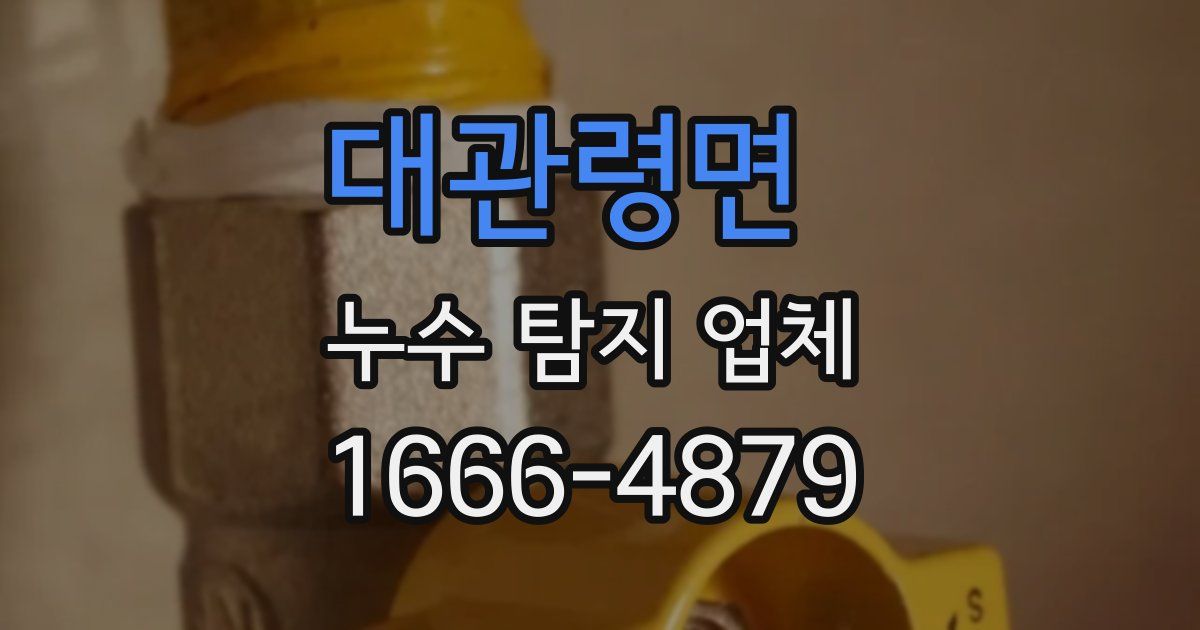 대관령면 누수 탐지 업체