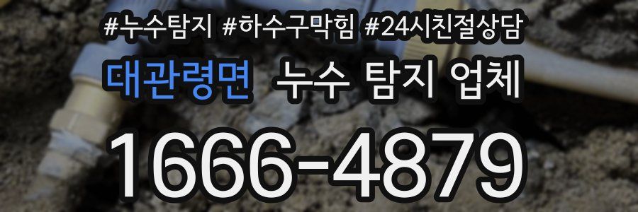 대관령면 누수 탐지 업체
