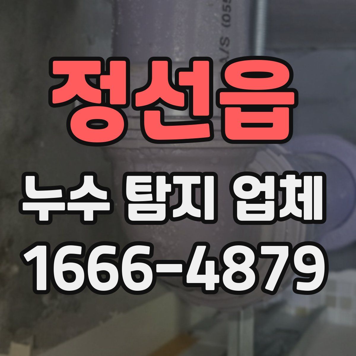 정선읍 누수 탐지 업체