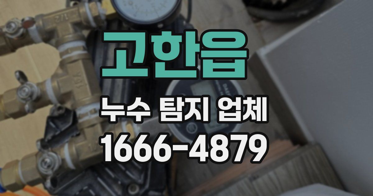 고한읍 누수 탐지 업체