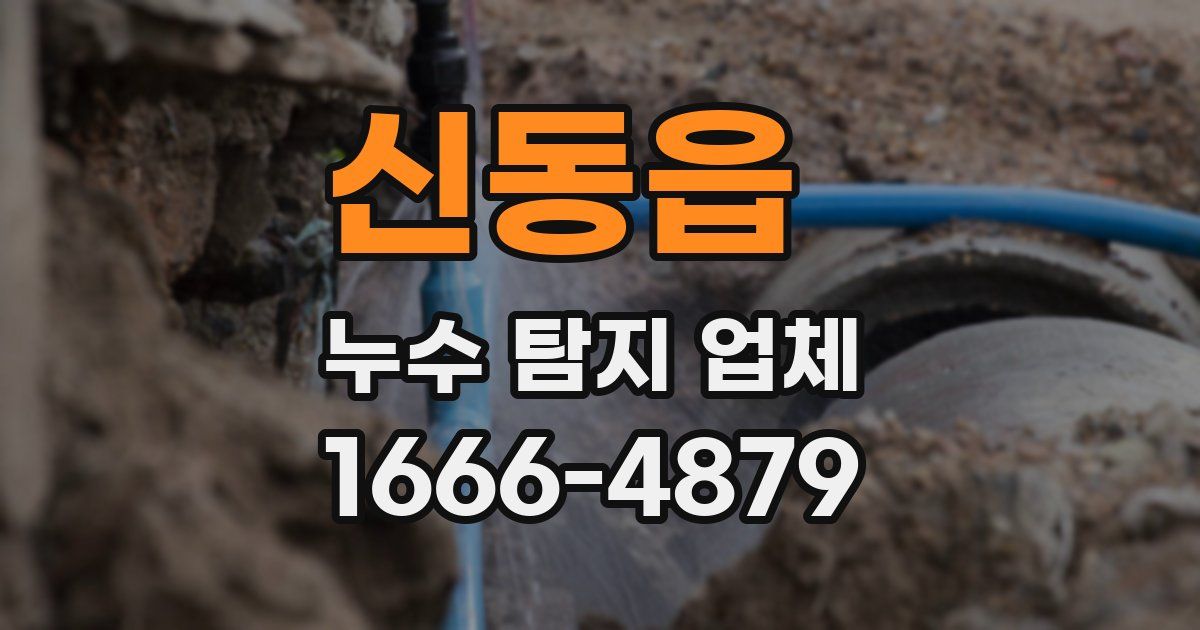 신동읍 누수 탐지 업체