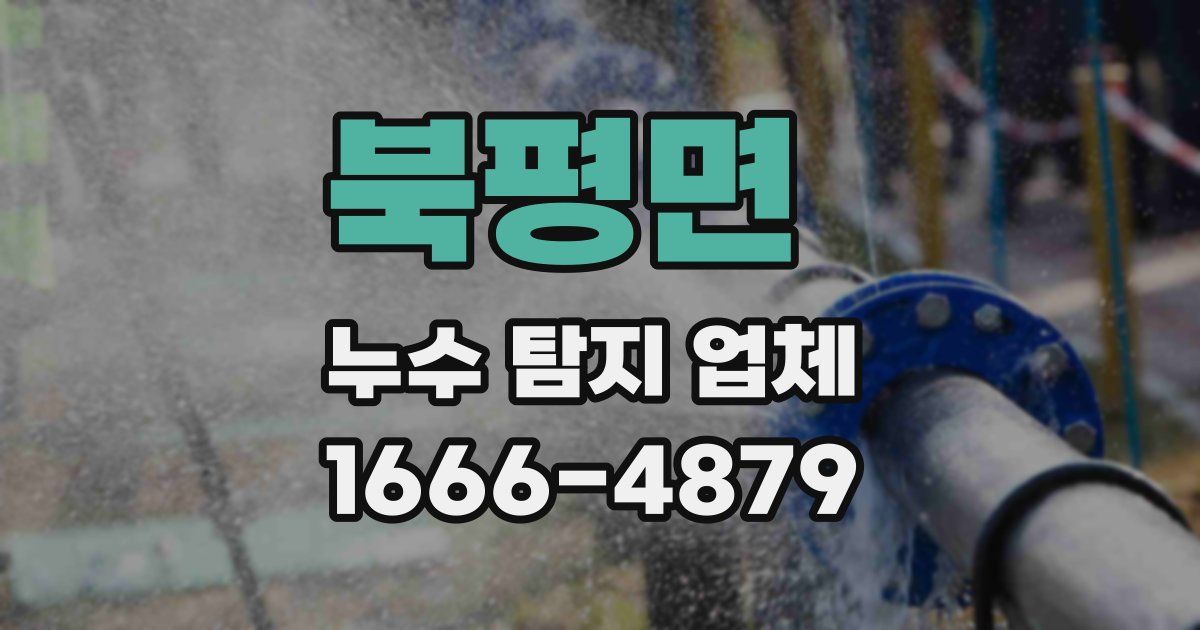 북평면 누수 탐지 업체