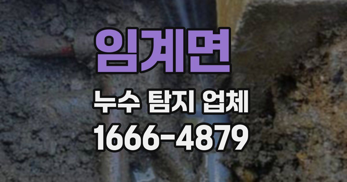 임계면 누수 탐지 업체