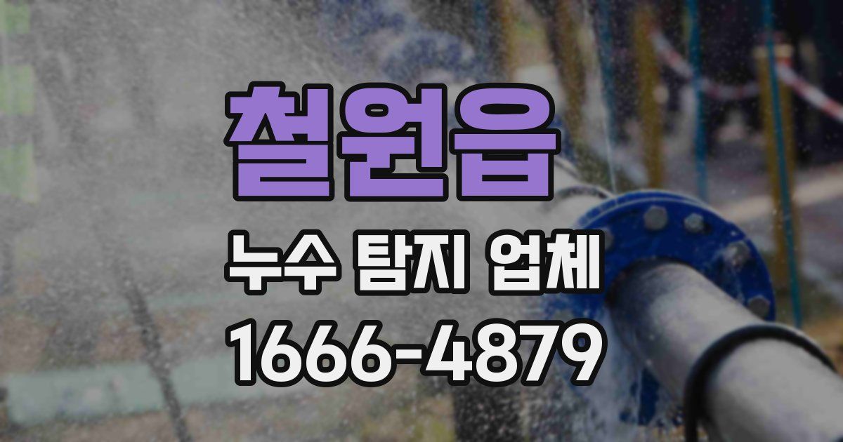 철원읍 누수 탐지 업체
