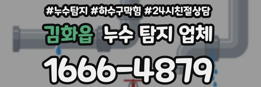 김화읍 누수 탐지 업체