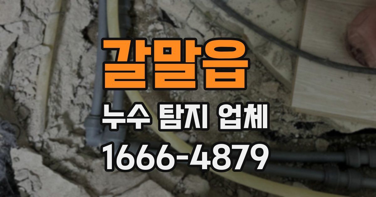 갈말읍 누수 탐지 업체