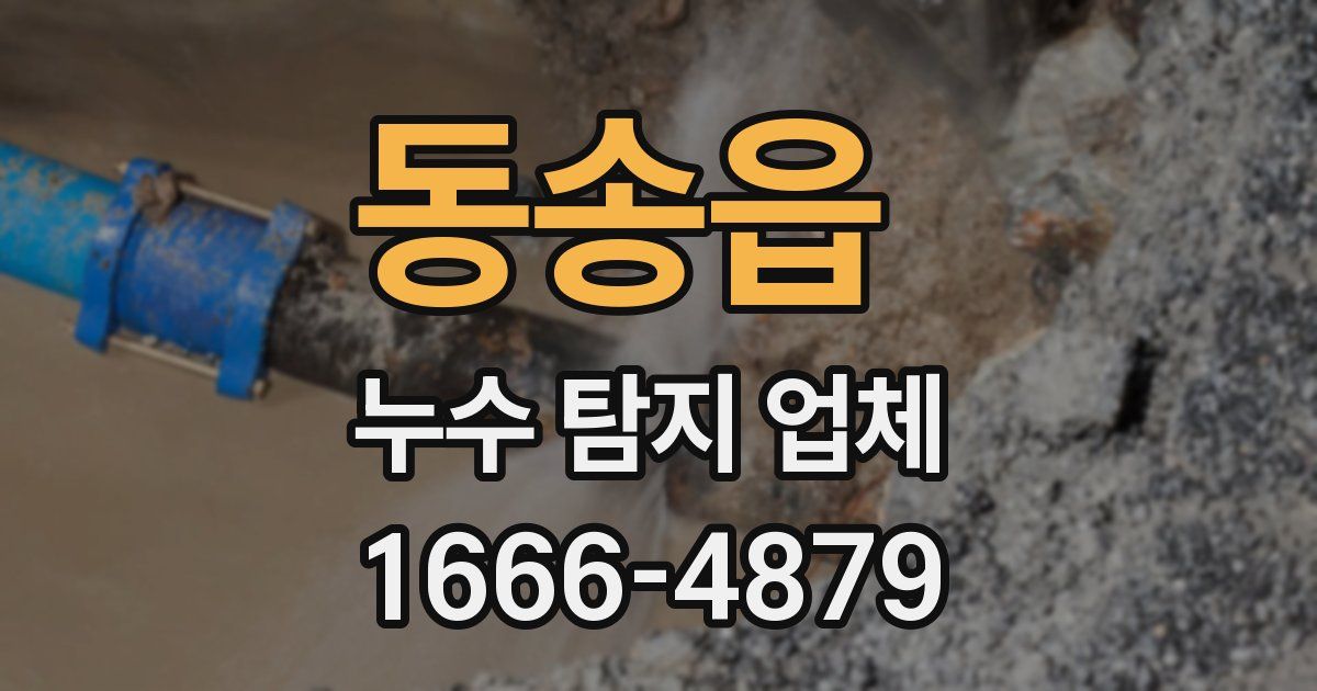 동송읍 누수 탐지 업체