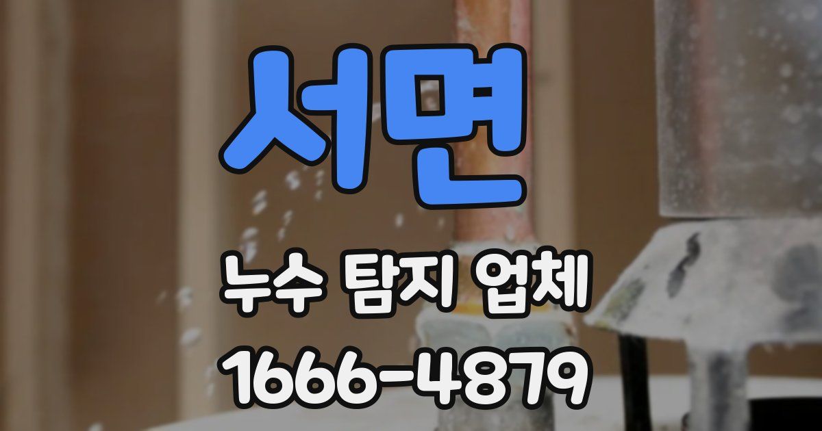 서면 누수 탐지 업체