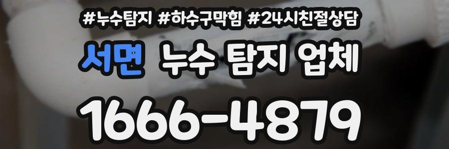 서면 누수 탐지 업체