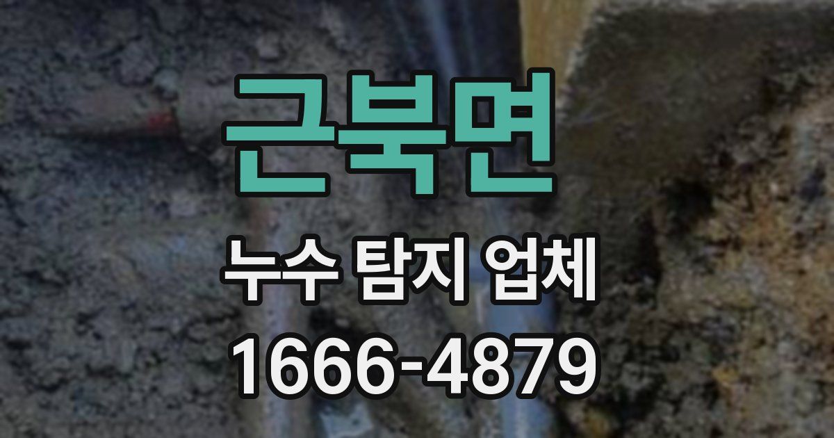 근북면 누수 탐지 업체