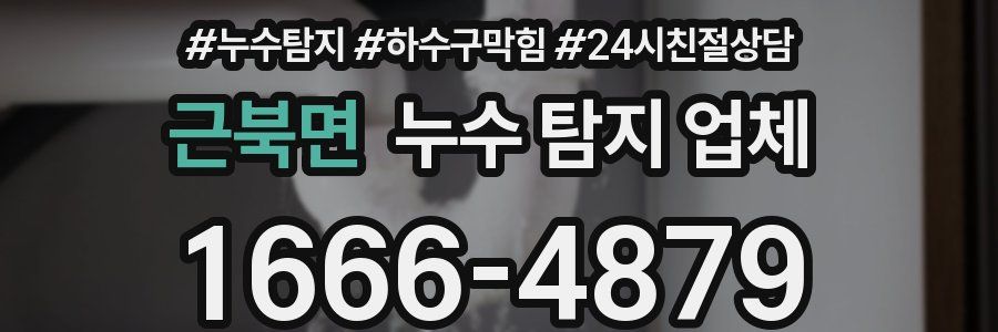근북면 누수 탐지 업체
