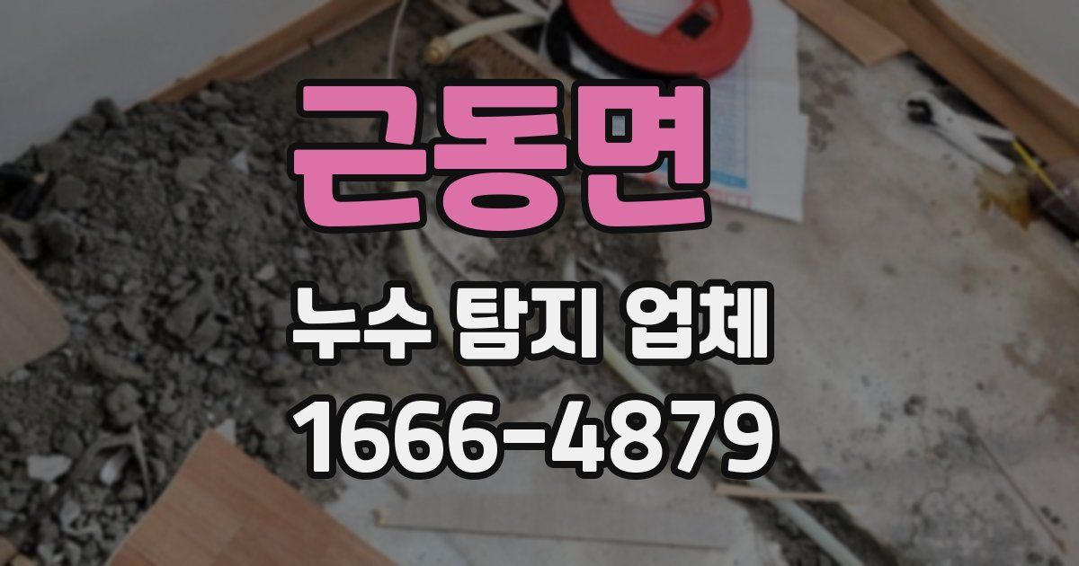 근동면 누수 탐지 업체