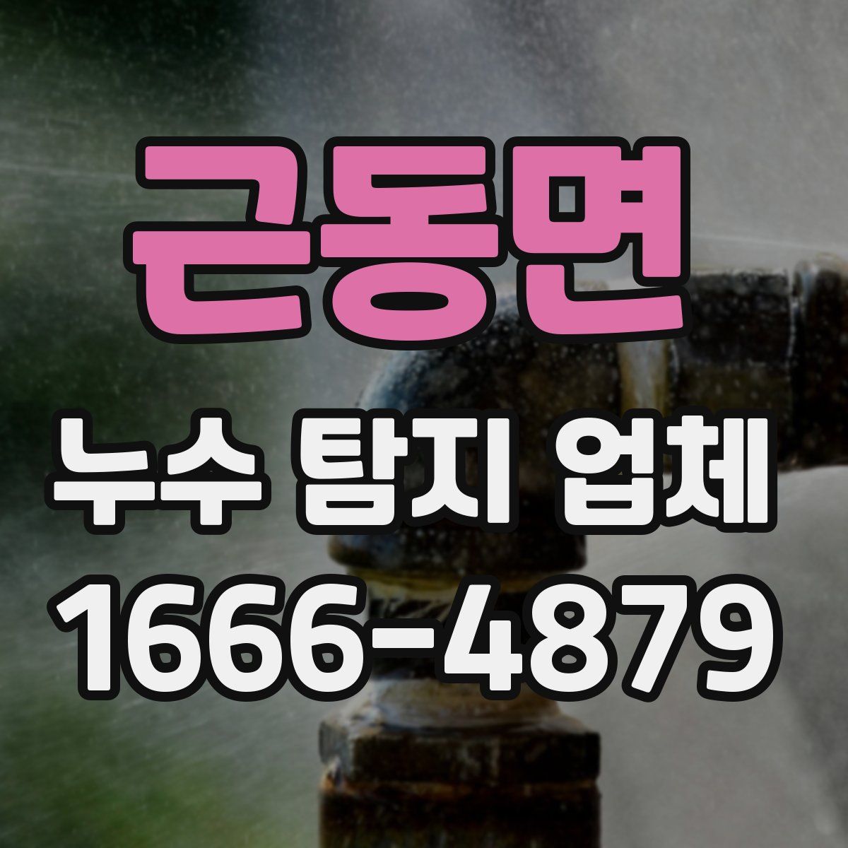 근동면 누수 탐지 업체