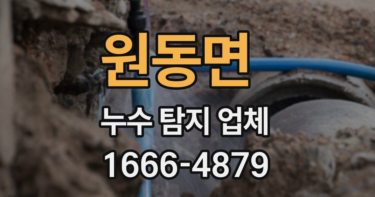 원동면 누수 탐지 업체