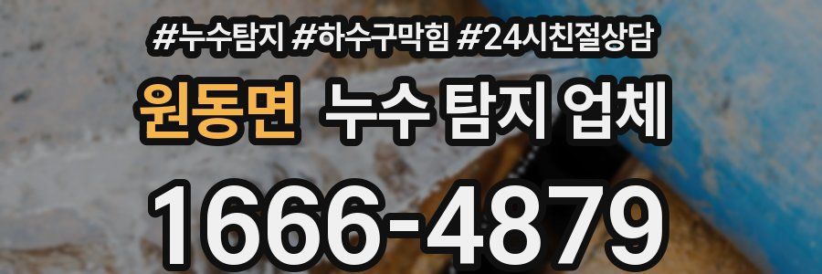 원동면 누수 탐지 업체