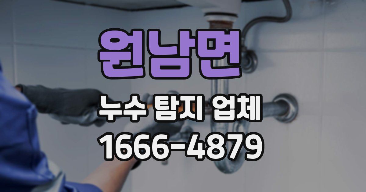 원남면 누수 탐지 업체