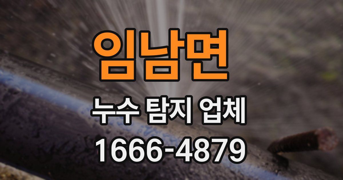 임남면 누수 탐지 업체