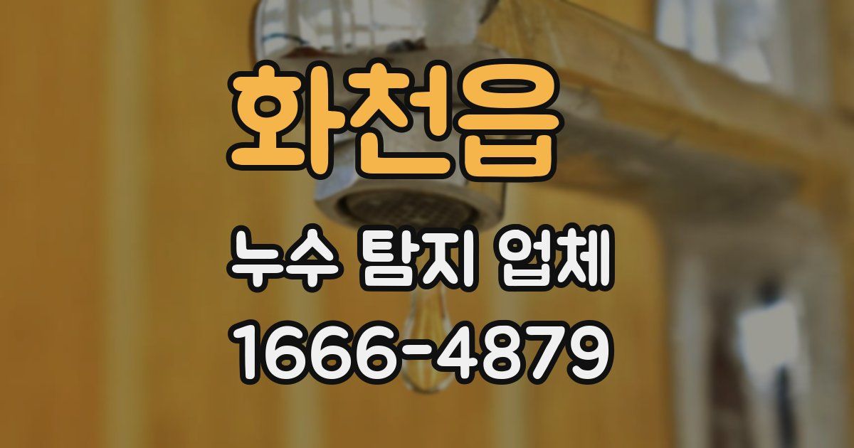 화천읍 누수 탐지 업체