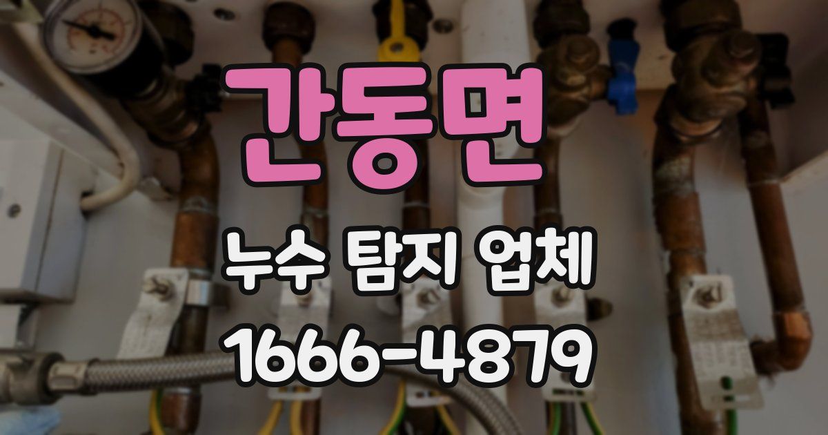 간동면 누수 탐지 업체
