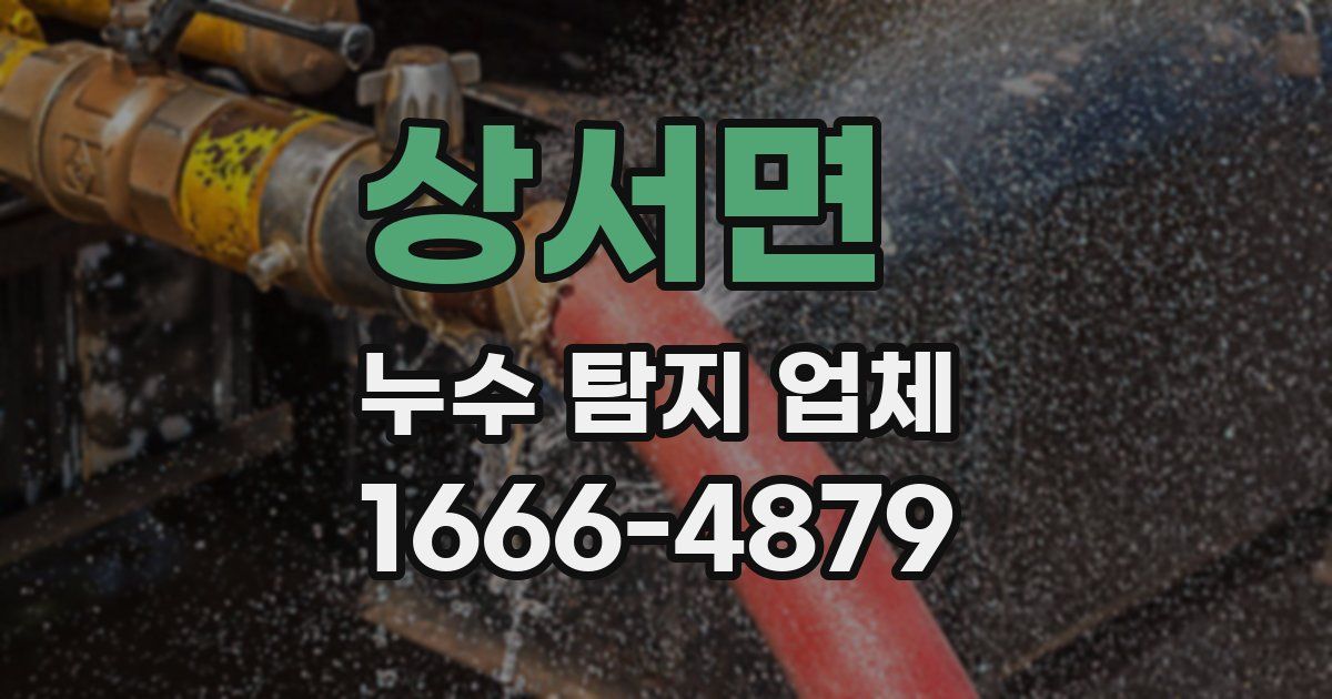 상서면 누수 탐지 업체