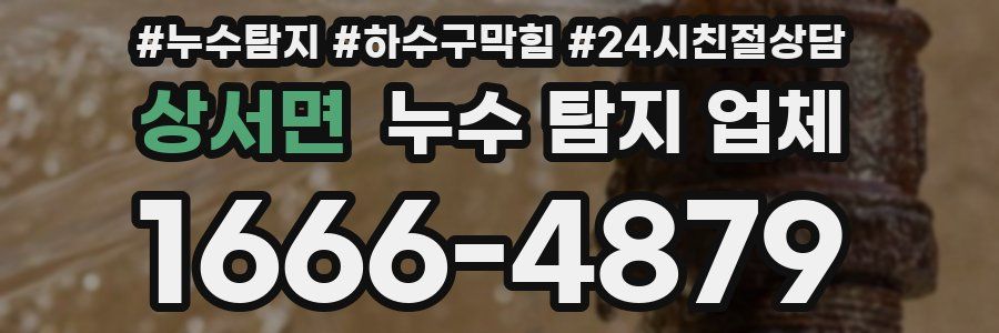 상서면 누수 탐지 업체