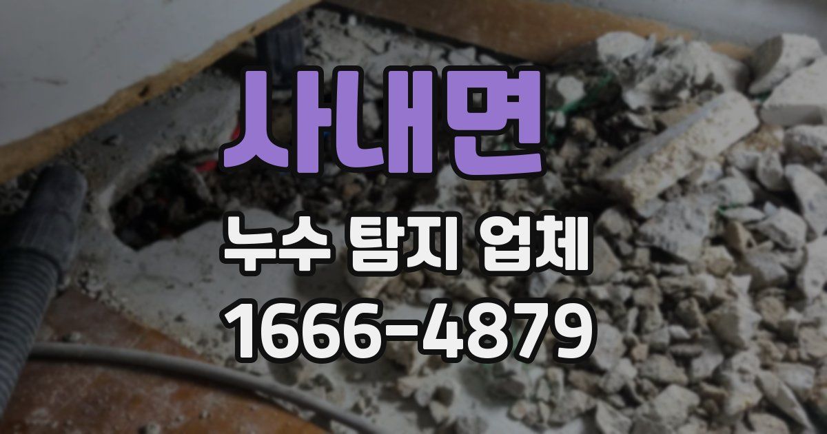 사내면 누수 탐지 업체