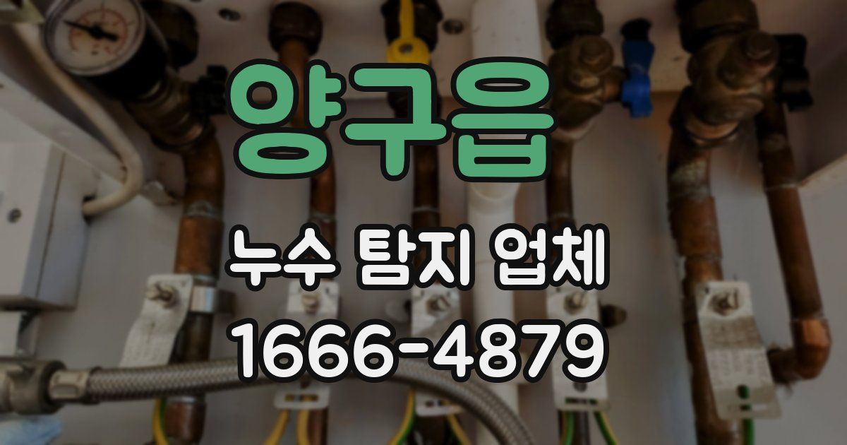 양구읍 누수 탐지 업체