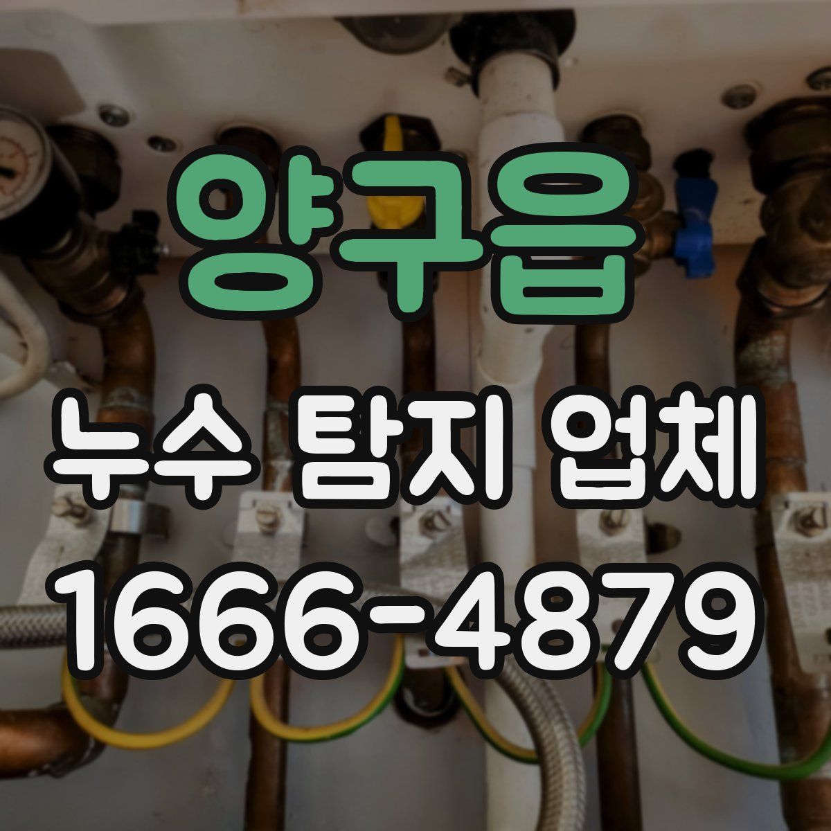 양구읍 누수 탐지 업체