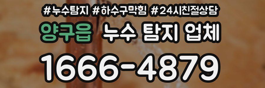 양구읍 누수 탐지 업체