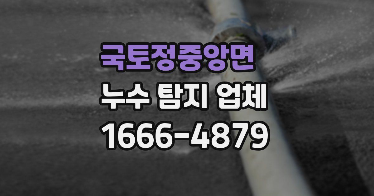 국토정중앙면 누수 탐지 업체