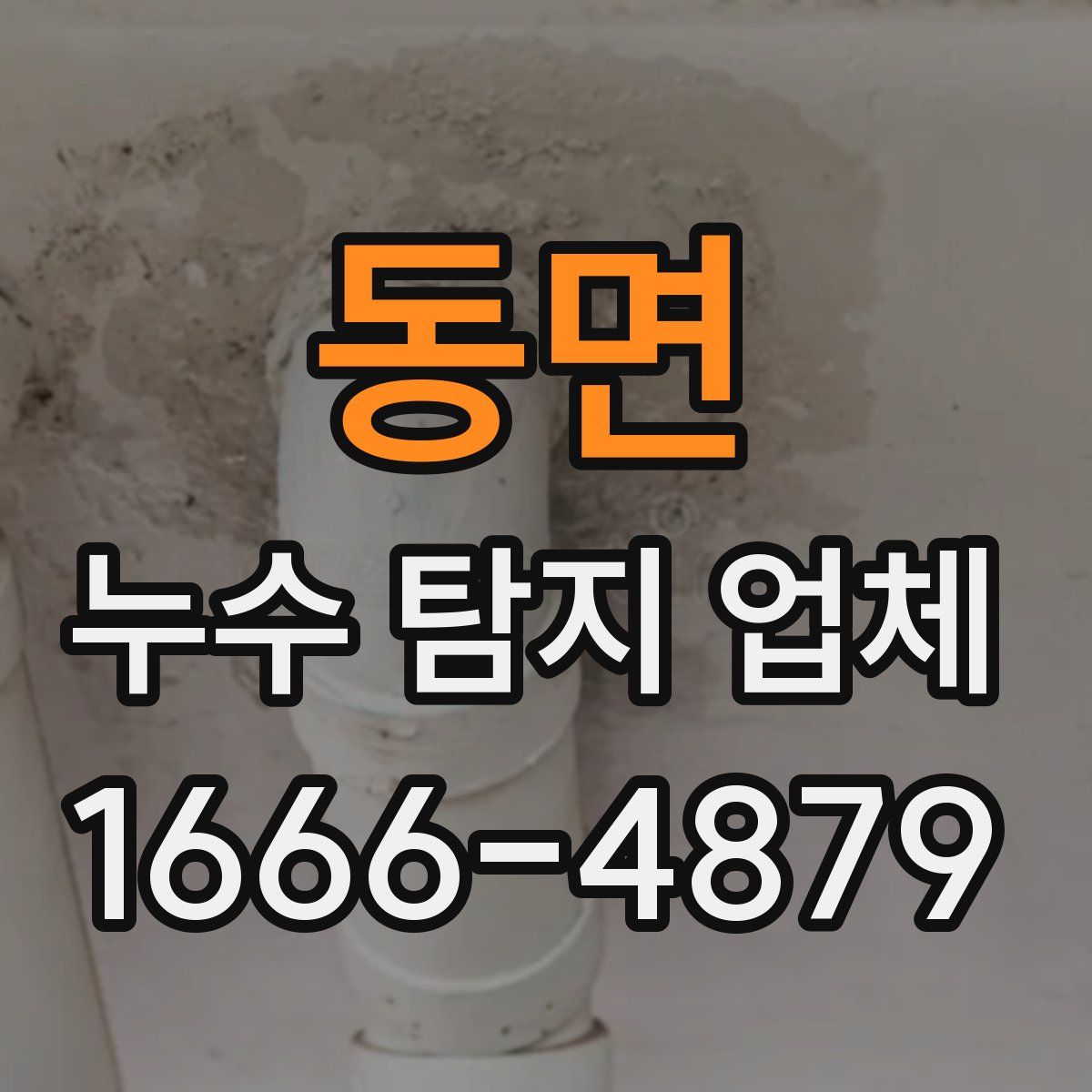 동면 누수 탐지 업체