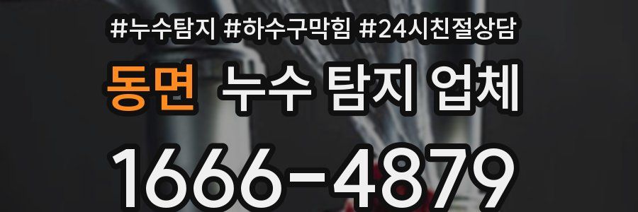 동면 누수 탐지 업체