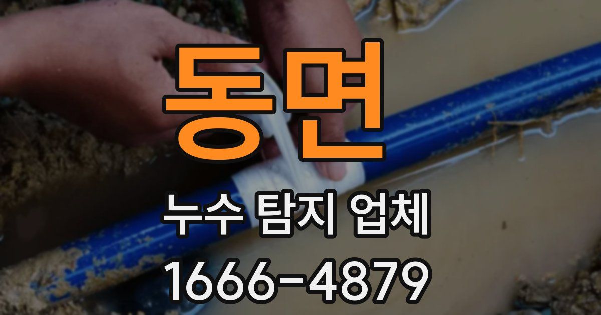 동면 누수 탐지 업체